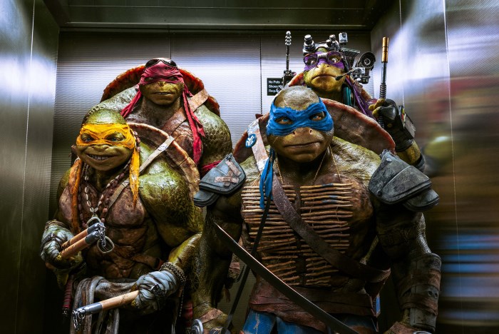 Teenage Mutant Ninja Turtles 2