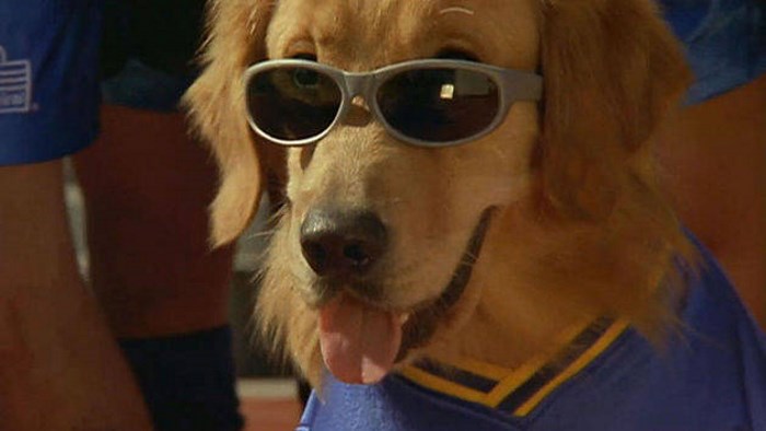 Air Bud