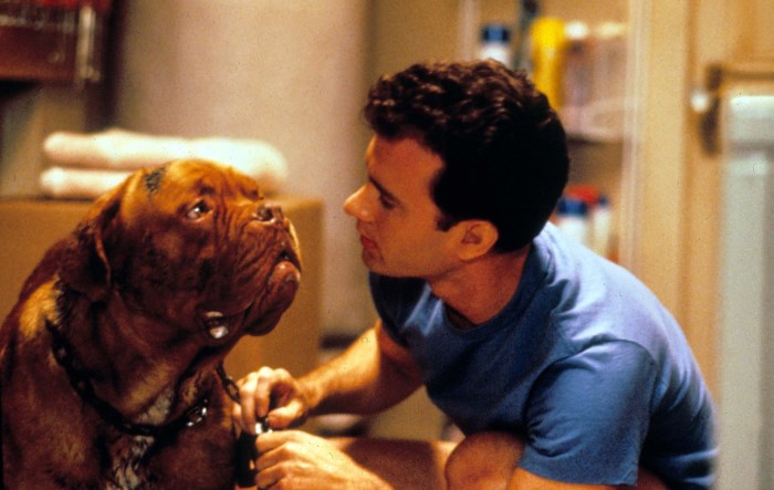 Turner & Hooch