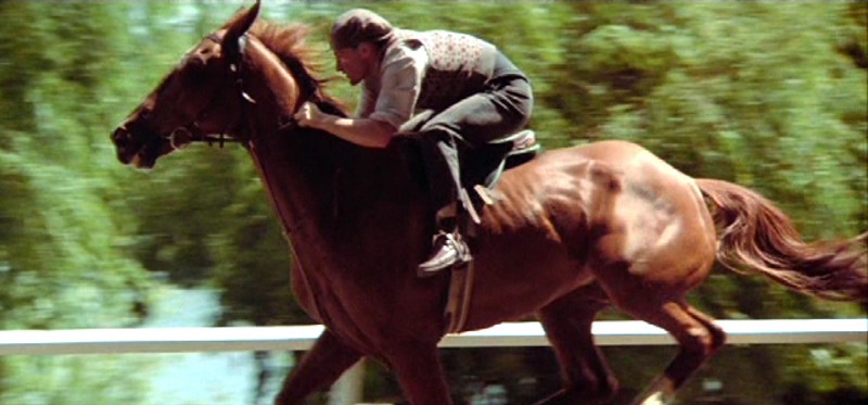 phar-lap-1983