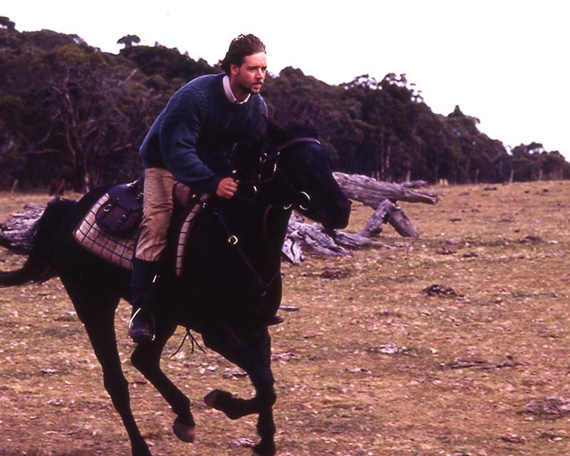 the-silver-stallion-king-of-the-wild-brumbies