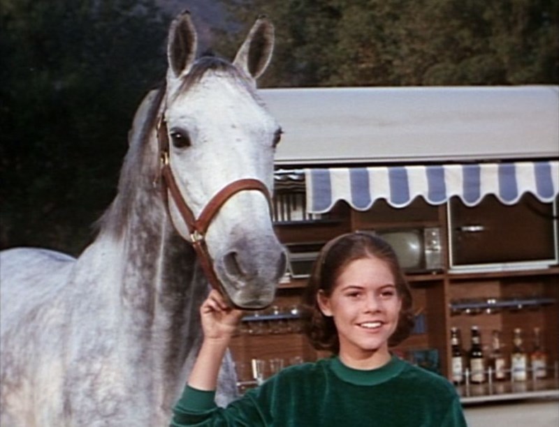 the-horse-in-the-gray-flannel-suit-1968