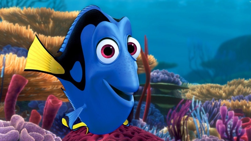 Finding Dory